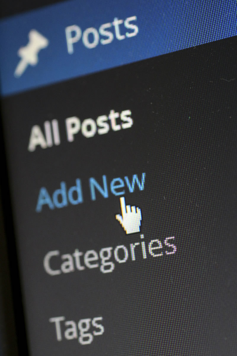 myit website design images