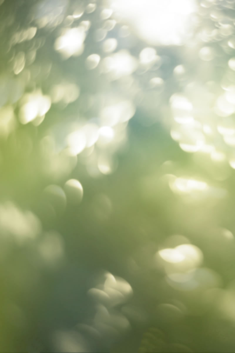 MYIT - Web design ideas for the coming 12 months