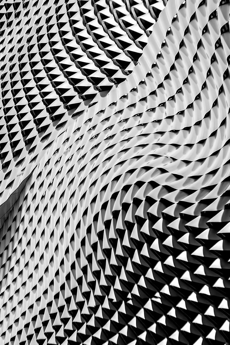 MYIT - Website Design Trends